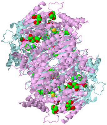 Image Biological Unit 2