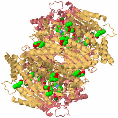 Image Biological Unit 3