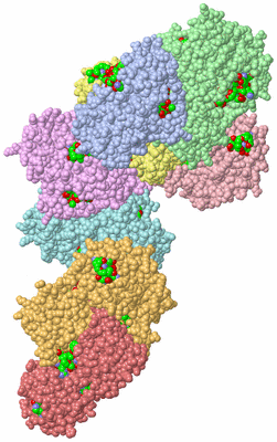 Image Asym. Unit - sites