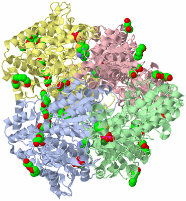 Image Biological Unit 1