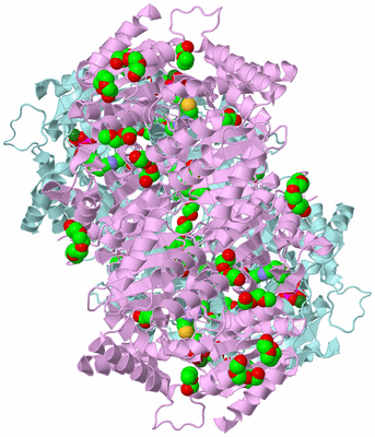 Image Biological Unit 2