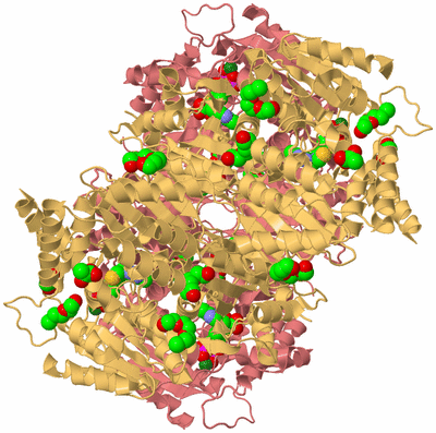 Image Biological Unit 3