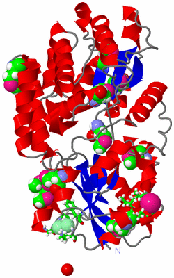 Image Asym./Biol. Unit - sites