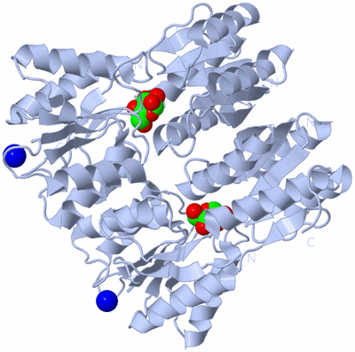 Image Biological Unit 1