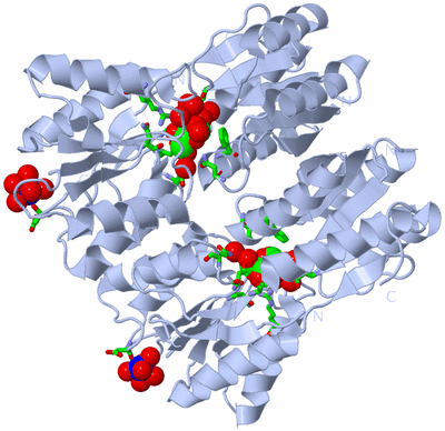 Image Biol. Unit 1 - sites