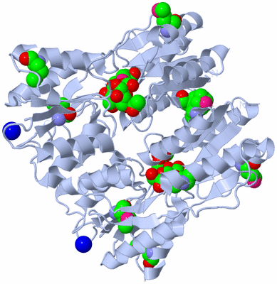 Image Biological Unit 1