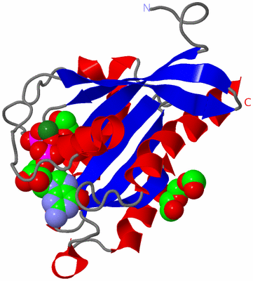 Image Asym./Biol. Unit