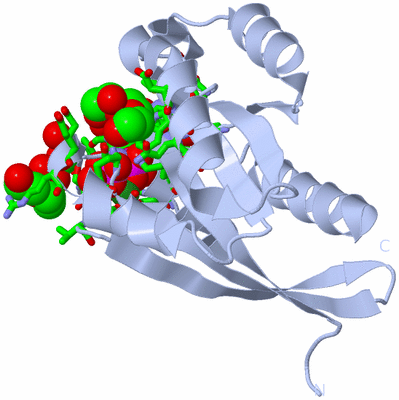 Image Biol. Unit 1 - sites