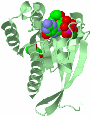 Image Biological Unit 2