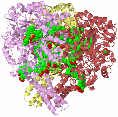 Image Biological Unit 2