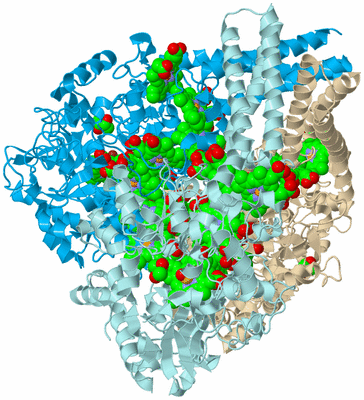 Image Biological Unit 3