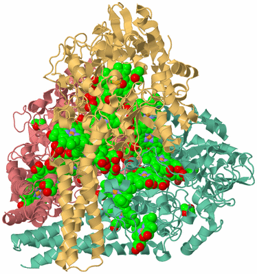 Image Biological Unit 4