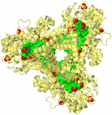 Image Biological Unit 2