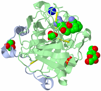 Image Asym./Biol. Unit