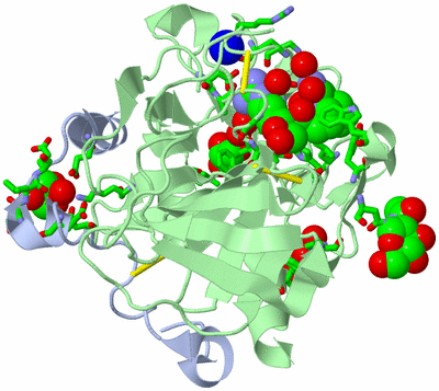 Image Asym./Biol. Unit - sites