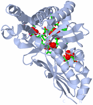 Image Biol. Unit 1 - sites