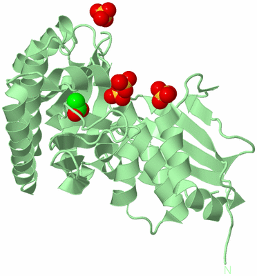 Image Biological Unit 2