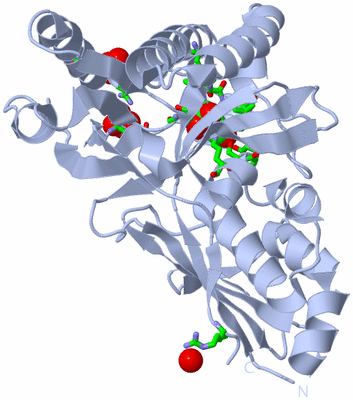 Image Biol. Unit 1 - sites