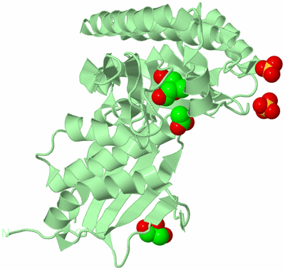 Image Biological Unit 2