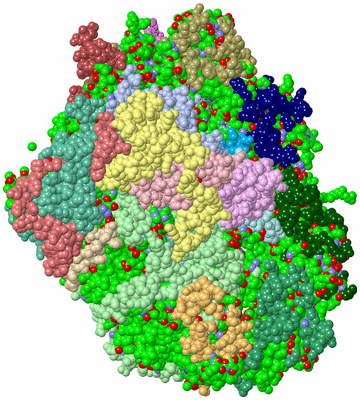 Image Asym./Biol. Unit - sites