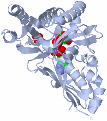 Image Biological Unit 1