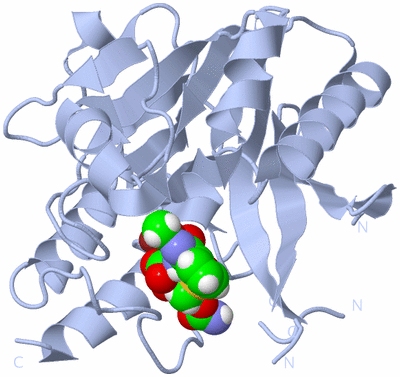 Image Biological Unit 2