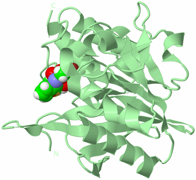 Image Biological Unit 3