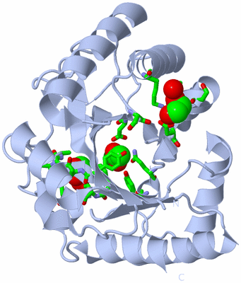 Image Biol. Unit 1 - sites