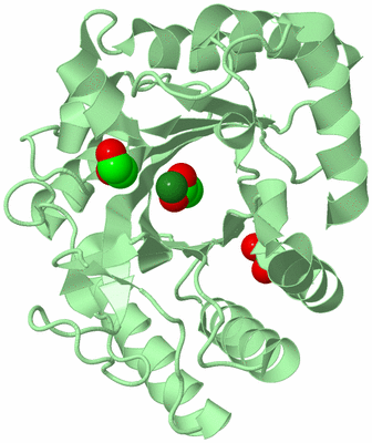 Image Biological Unit 2