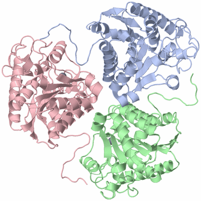 Image Asym./Biol. Unit