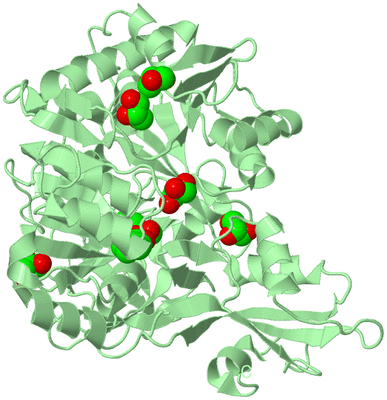 Image Biological Unit 2