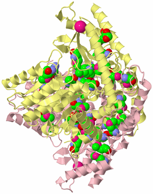 Image Biological Unit 2