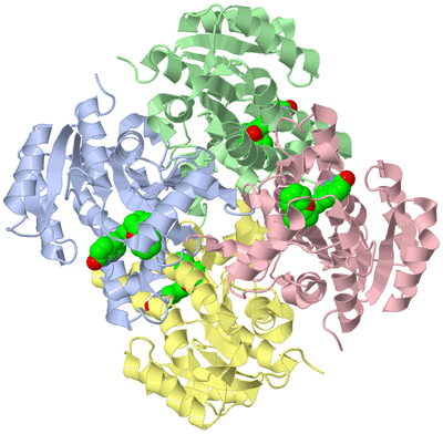 Image Asym./Biol. Unit