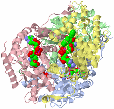 Image Asym./Biol. Unit