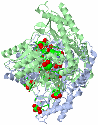 Image Biol. Unit 1 - sites