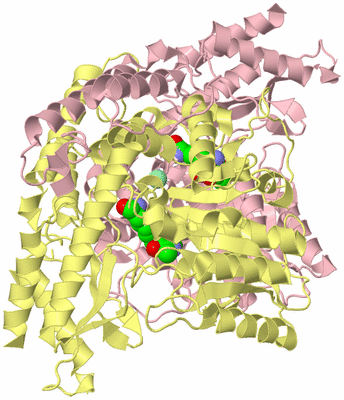 Image Biological Unit 2