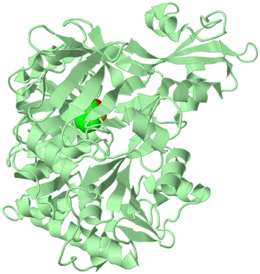 Image Biological Unit 2