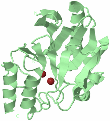 Image Biological Unit 2