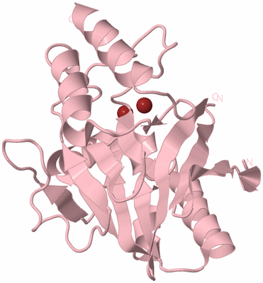 Image Biological Unit 3