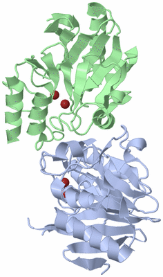 Image Biological Unit 5