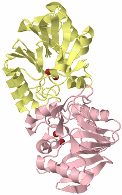 Image Biological Unit 6