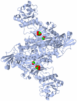 Image Biological Unit 1