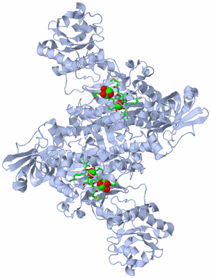 Image Biol. Unit 1 - sites