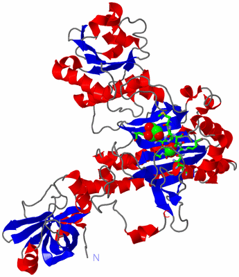 Image Asym. Unit - sites