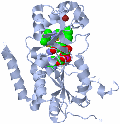 Image Biological Unit 1