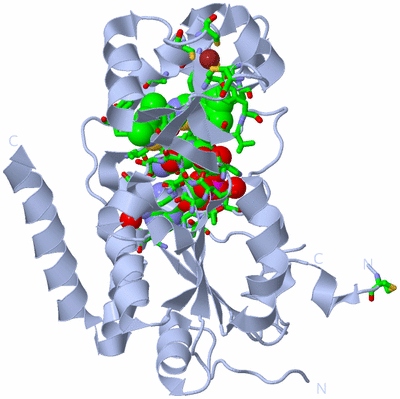 Image Biol. Unit 1 - sites