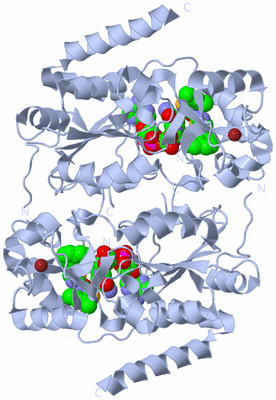 Image Biological Unit 2