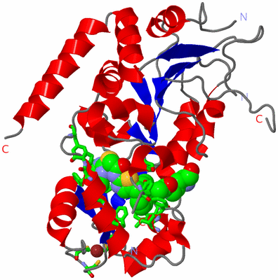 Image Asym./Biol. Unit - sites