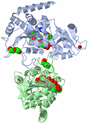 Image Asym./Biol. Unit