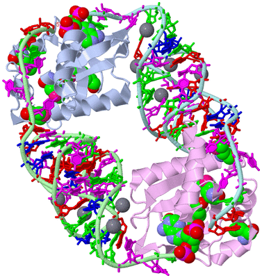 Image Biological Unit 1